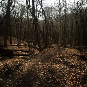 Hiking Trail at Grand View Drive